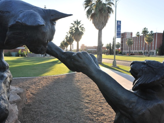 Campus wildcat statue touching paws